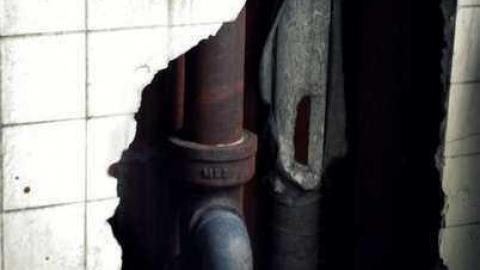 Night Prowler - DSC_1147_2.jpg