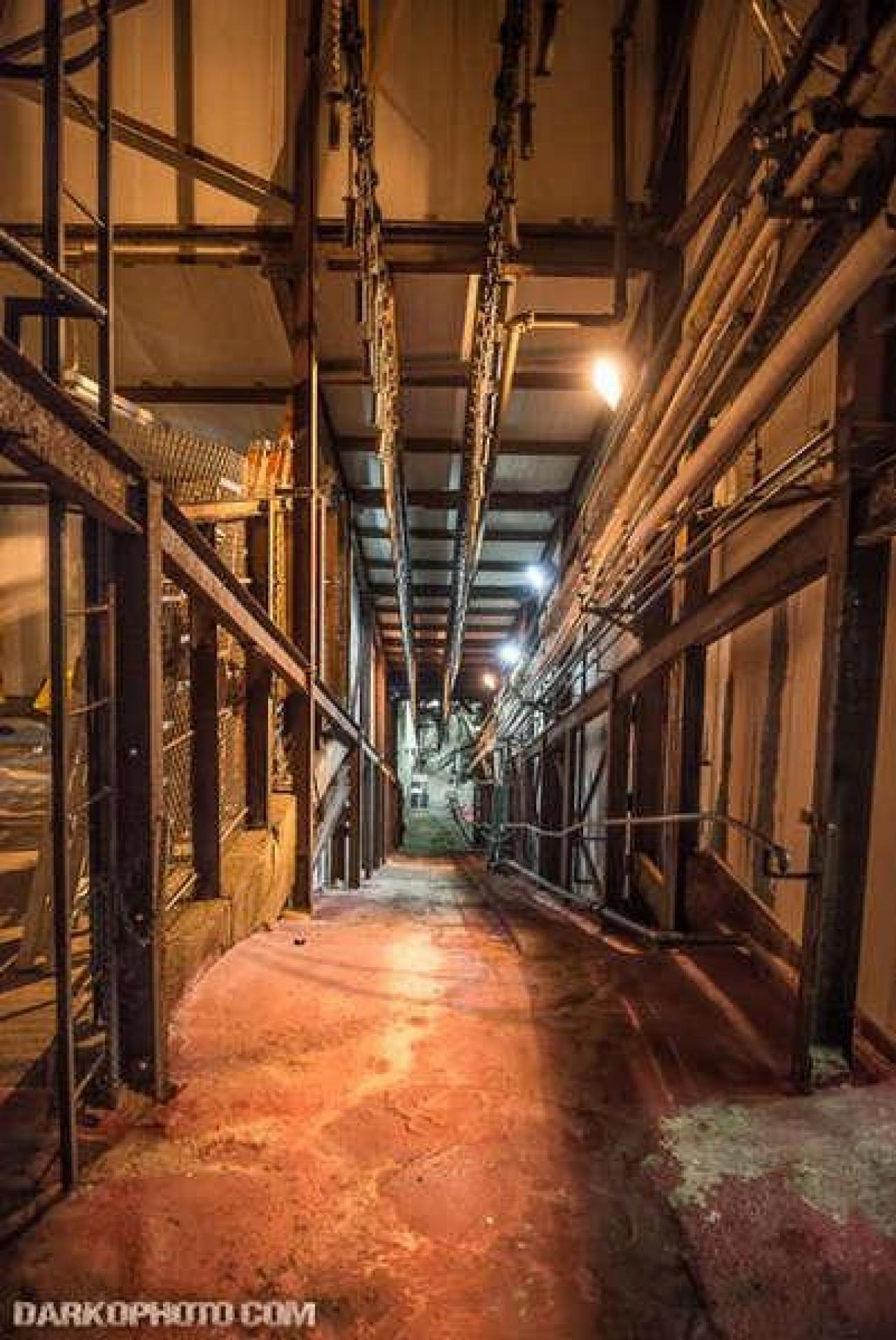 Green Tag Sale - piggie 2-1647.jpg