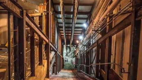 Green Tag Sale - piggie 2-1647.jpg