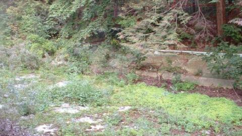 Photo from Wonderland Gardens