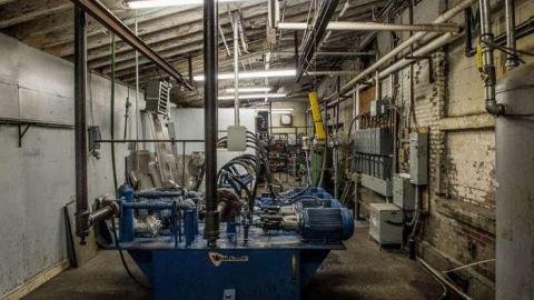 Green Tag Sale - piggie 2-1651.jpg