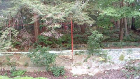 Wonderland Gardens - Wonderland-Gardens-Swimming-Pool37.jpg