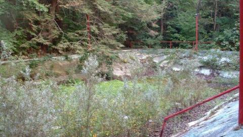 Wonderland Gardens - Wonderland-Gardens-Swimming-Pool36.jpg