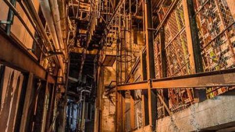 Green Tag Sale - piggie 2-1660.jpg