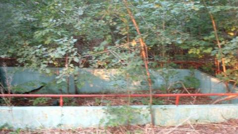 Wonderland Gardens - Wonderland-Gardens-Swimming-Pool27.jpg