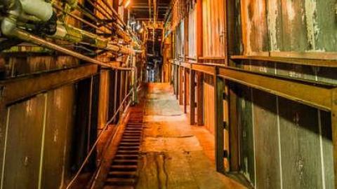 Green Tag Sale - piggie 2-1661.jpg