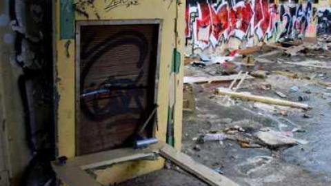 Night Prowler - DSC_1148.jpg