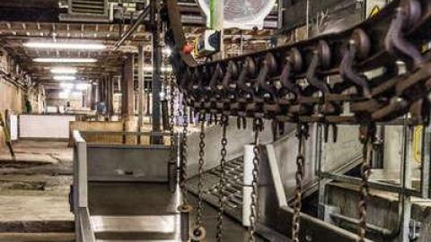 Green Tag Sale - piggie 2-1669.jpg