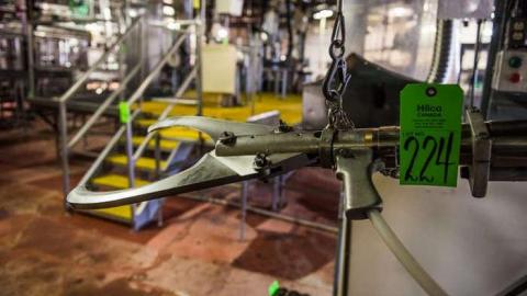 Green Tag Sale - piggie 2-1704.jpg