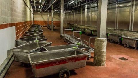 Green Tag Sale - piggie 2-1744.jpg