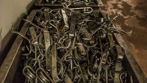 Green Tag Sale - piggie 2-1725.jpg