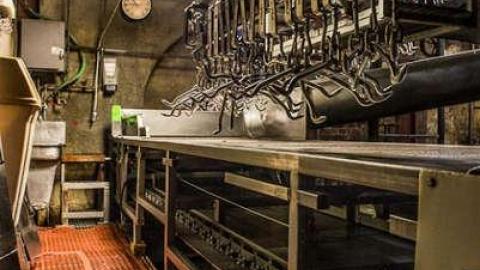 Green Tag Sale - piggie 2-1711.jpg