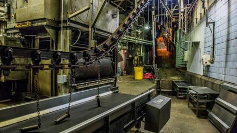 Green Tag Sale - piggie 2-1684.jpg