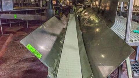 Green Tag Sale - piggie 2-1708.jpg