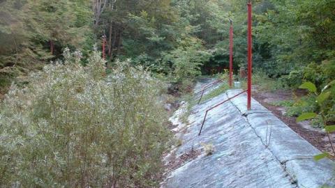 Wonderland Gardens - Wonderland-Gardens-Swimming-Pool29.jpg