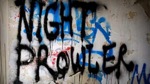 Night Prowler - DSC_1156_2.jpg