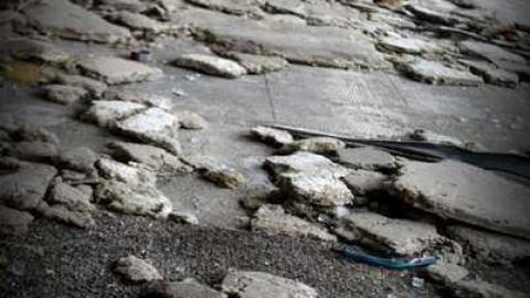 Night Prowler - DSC_1165_2.jpg