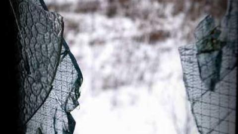 Night Prowler - DSC_1184_2.jpg