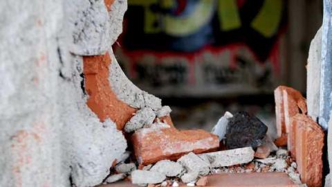 Night Prowler - DSC_1204.jpg