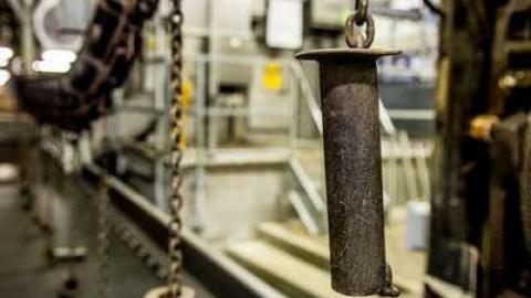 Green Tag Sale - piggie 2-1688.jpg