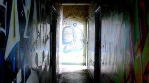 Night Prowler - DSC_1211_2.jpg