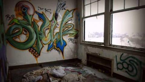 Night Prowler - DSC_1217_2.jpg