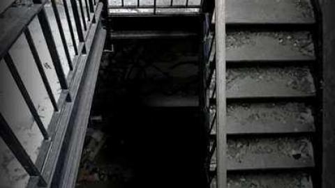 Night Prowler - DSC_1225_3.jpg