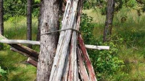 Aug '14 - AbandonedPetrogold19.jpg