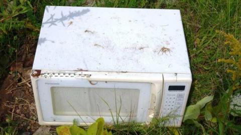 Aug '14 - AbandonedPetrogold20.jpg