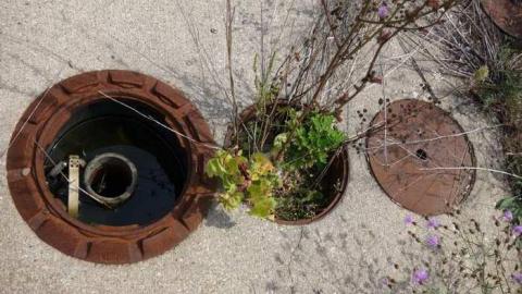 Aug '14 - AbandonedPetrogold13.jpg