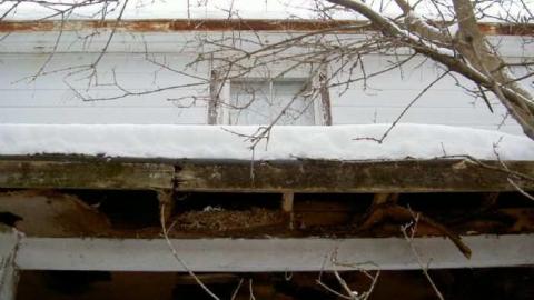 We Got Rot - Picture 146.jpg