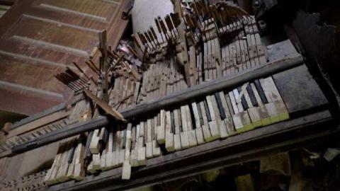 Aug '14 - Big-Green22.jpg