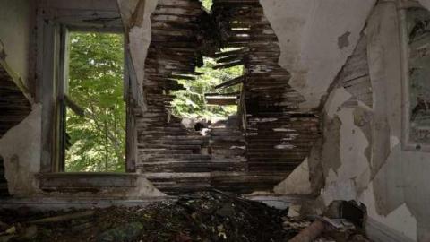 Aug '14 - Big-Green29.jpg