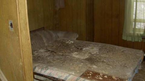 We Got Rot - Picture 148.jpg