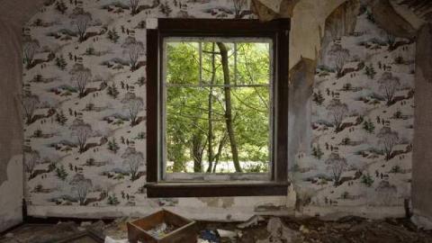 Aug '14 - Big-Green33.jpg