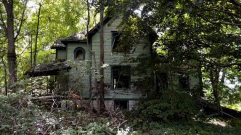 Aug '14 - Big-Green37.jpg