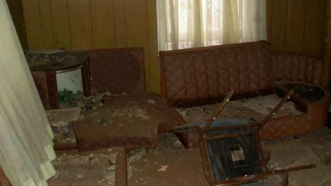 We Got Rot - Picture 149.jpg