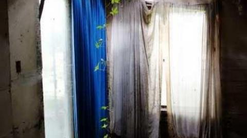 Aug '14 - DSC00218.jpg