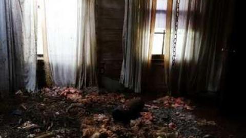 Aug '14 - DSC00220.jpg