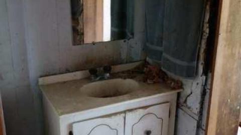 Aug '14 - DSC00235.jpg