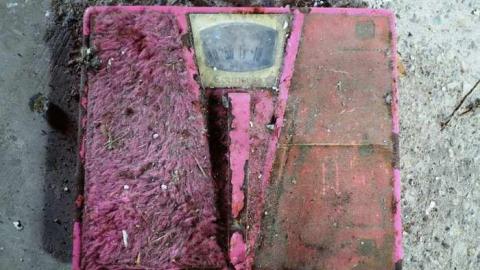 Aug '14 - DSC00249.jpg