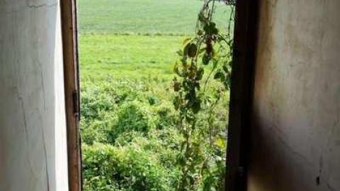 Aug '14 - DSC00052.jpg