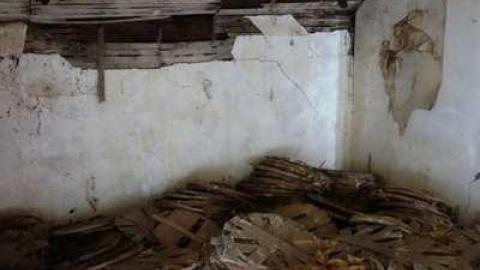 Aug '14 - DSC00074.jpg