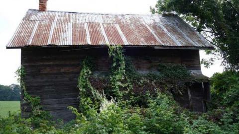 Aug '14 - DSC00084.jpg