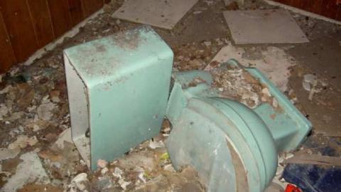 We Got Rot - Picture 153.jpg