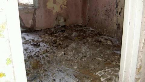 We Got Rot - Picture 154.jpg