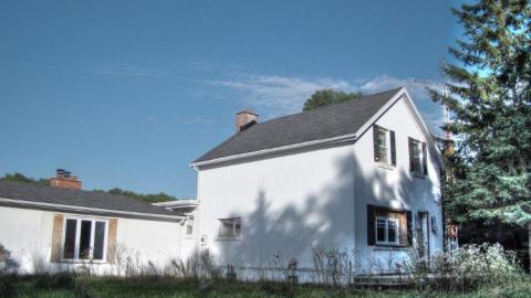 White Noise - 1a.jpg