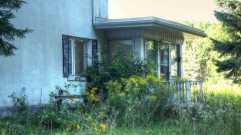 White Noise - 1b.jpg