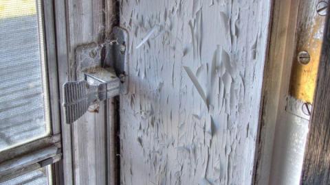 White Noise - 2a.jpg