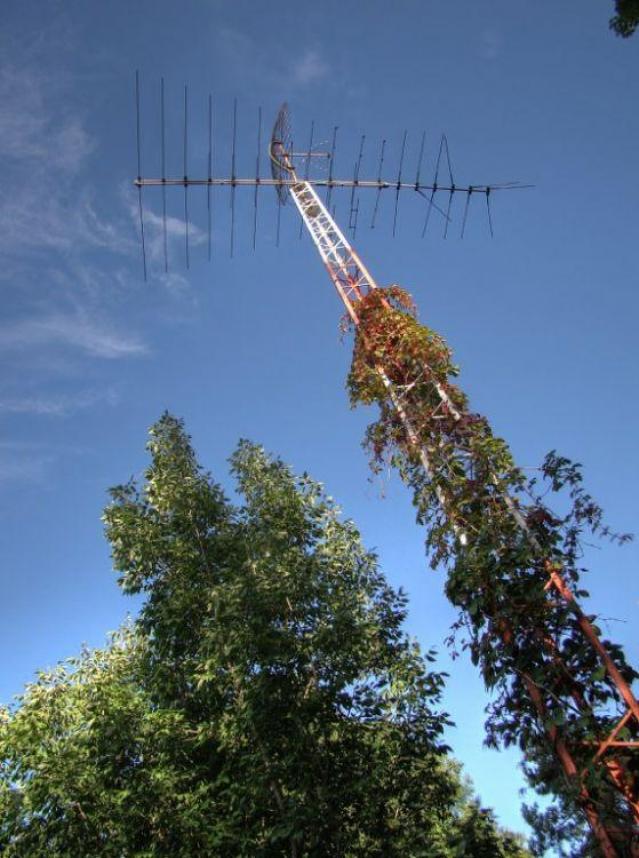 The White House of Rock photo 5